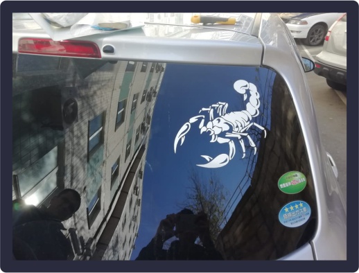 Наклейка «скорпион» на автомобиль 26.11.2018 г.